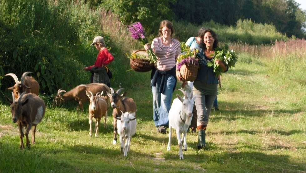 Herb walk with goats // &copy; Kr&auml;uterhof Carlsthal