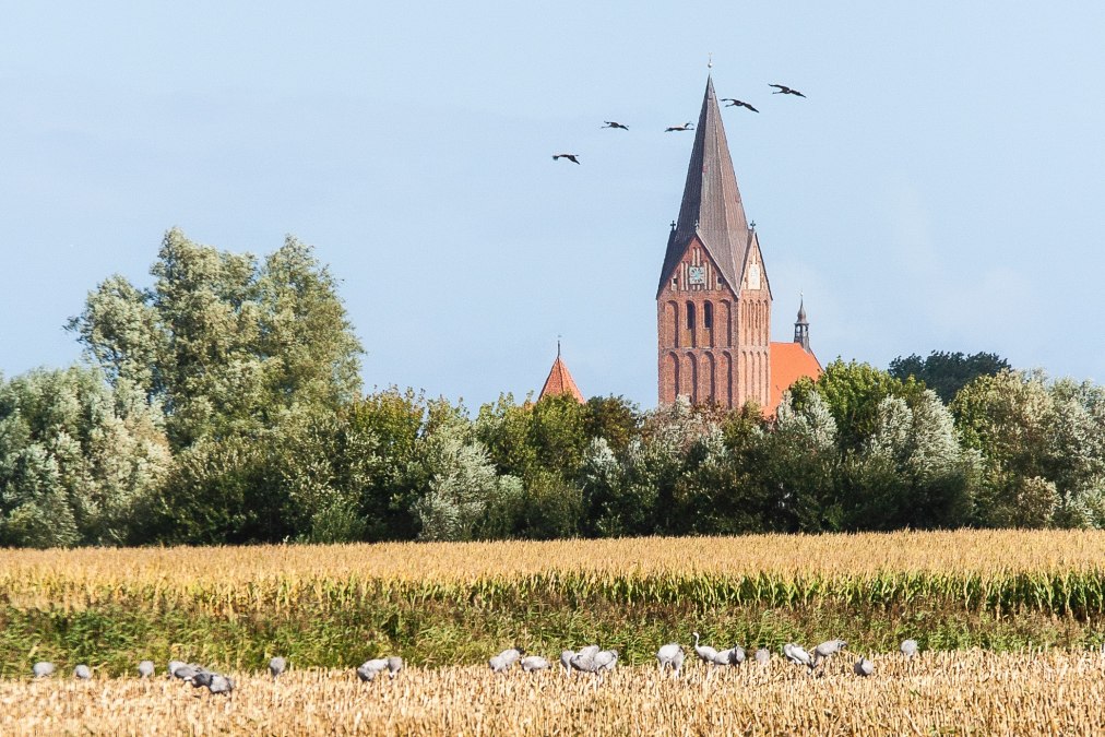 Velden tussen Barthe en de luchtmachtbasis, © Arndt Gläser