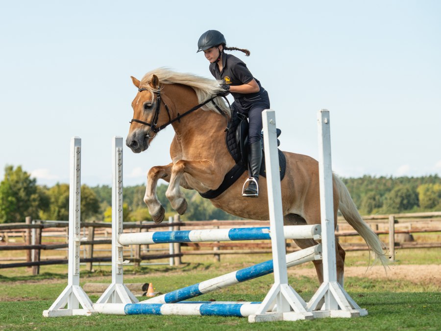 amber ruiter verkoop2018_boriskownatzki_062_1, © bernsteinreiter