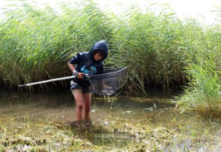&copy; Biosph&auml;renreservat S&uuml;dost-R&uuml;gen