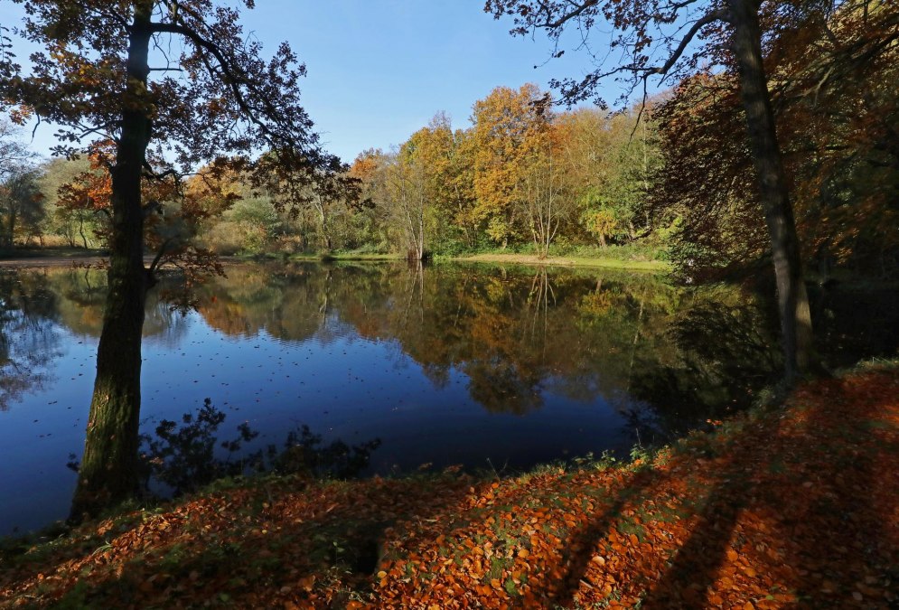 Landschaftsschutzgebiet Bekow_5, © TMV/Gohlke