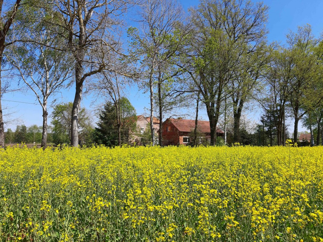 LüttenHof Retreat, © Tanja von Heintze LüttenHof Retreat, © Tanja von Heintze