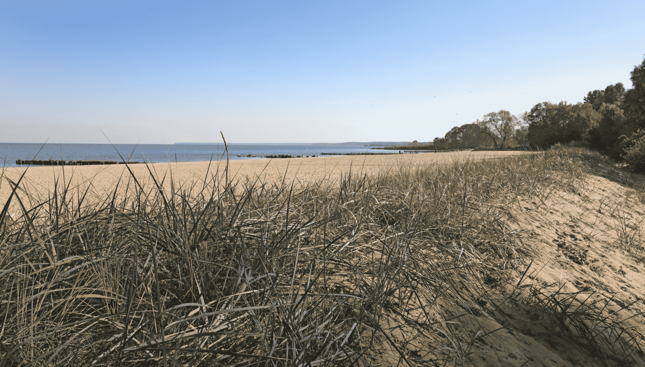 Surfspot Ueckermünde (Zalew Szczeciński), © TMV/Gohlke
