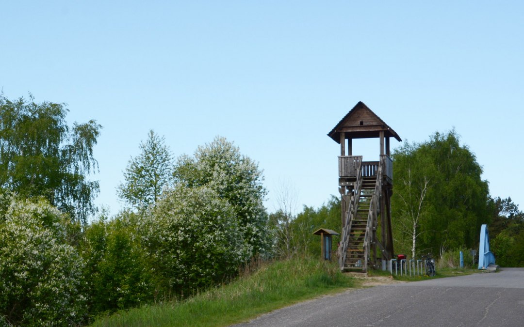 Uitkijktoren bij de Dütschowbrug, © Tourismusverband Mecklenburg-Schwerin e.V.