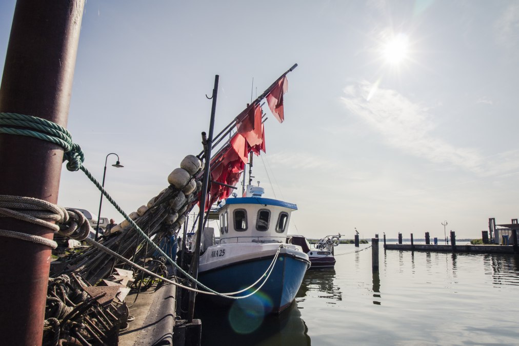 Je kunt vissers bekijken en vis eten in de vissershaven van Altwarp, © Philipp Schulz Je kunt vissers bekijken en vis eten in de vissershaven van Altwarp, © Philipp Schulz