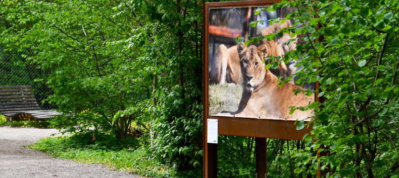 Fototentoonstelling &bdquo;Respect, medeleven en begrip&ldquo; in de Waldgalerie in het B&Auml;RENWALD M&uuml;ritz // &copy; B&Auml;RENWALD M&uuml;ritz | Manuela Klier