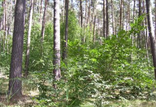 Kleine Pl&auml;tze zum Staunen // &copy; Sabine G&ouml;rmar