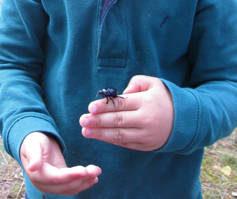 Op naar de tots van de forest_M&uuml;ritz National Park Authority, &copy; NPA M&uuml;ritz