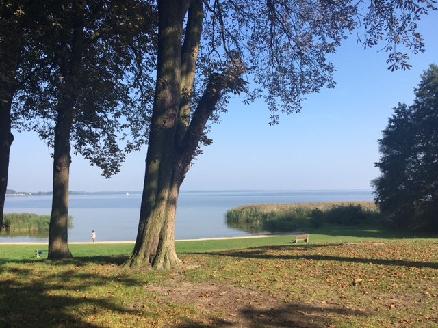 Strand met bomen, © A. Groh