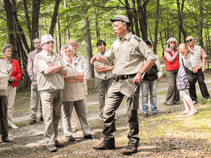 Forest ranger hike, © Infozentrum Wald und Moor