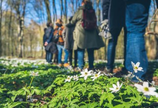 &copy; Kurverwaltung