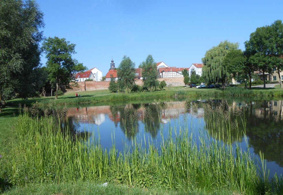 De groene oase van Malchin (uitzicht op de stad vanuit het park), © Monika Kröger