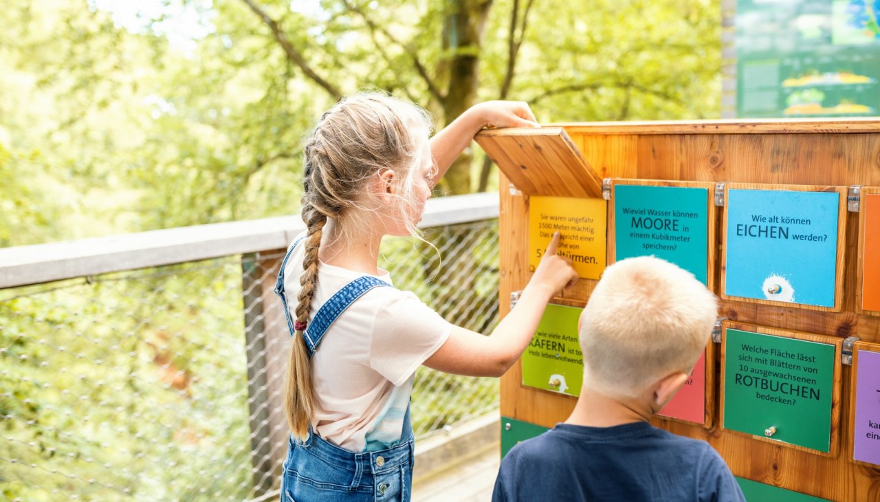 Rajd komiksowy, © TMV | Marcus Tiemann Rajd komiksowy, © TMV | Marcus Tiemann