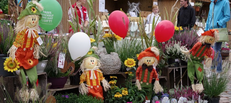 © Mueumsanlage Gadebusch © Mueumsanlage Gadebusch