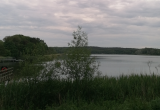 &copy; IMG_20240518_165815.jpg