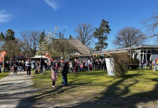 © Kur- und Tourismusbetrieb Ostseebad Prerow © Kur- und Tourismusbetrieb Ostseebad Prerow