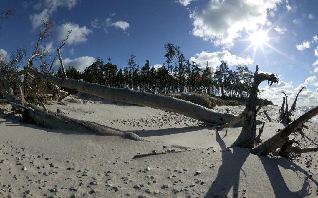 West-strand, © Uwe Engler
