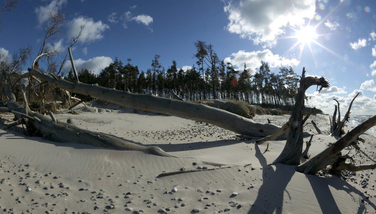 West Beach, © Uwe Engler