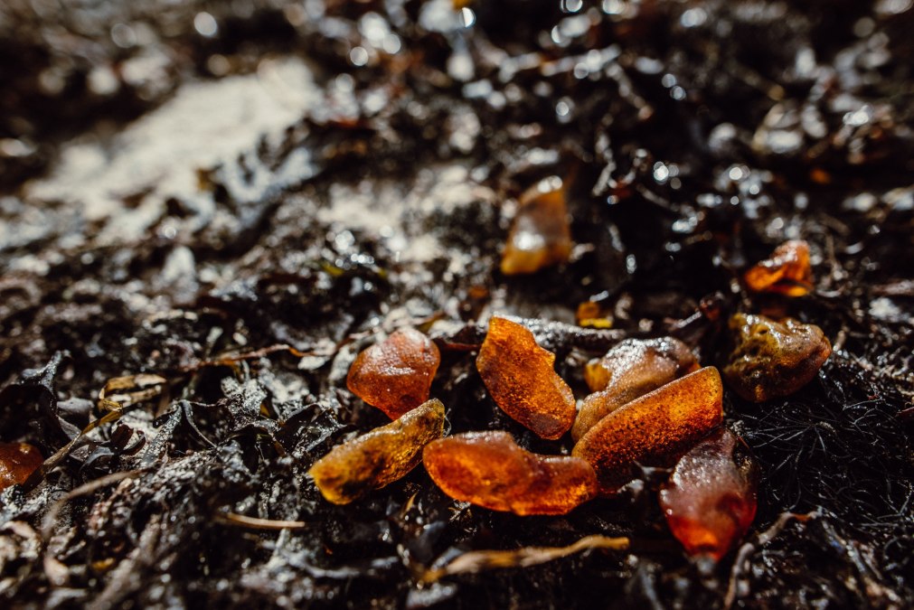 NaturWerkstatt: Bernsteinschleifen, © Binzer Bucht Tourismus