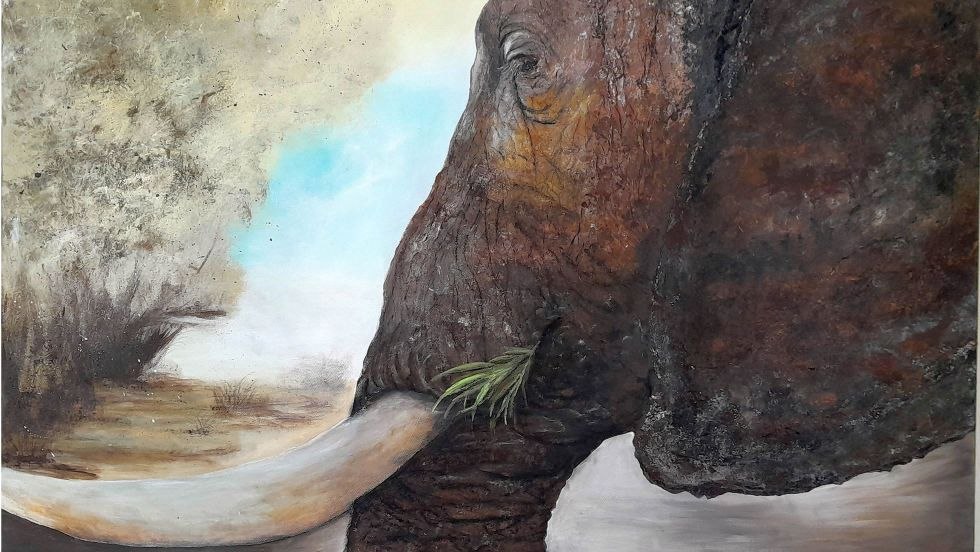 Namibia, &copy; Annett Neumann