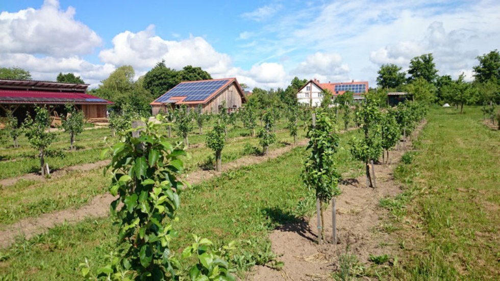 Het uitgestrekte terrein nodigt je uit om rond te wandelen, © Archiv, Biosphärenreservatsamt Schaalsee-Elbe