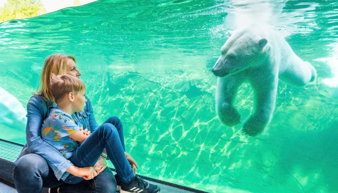 Moeder en kind zitten voor een grote ruit en kijken naar een zwemmende ijsbeer in een dierentuin of aquarium.