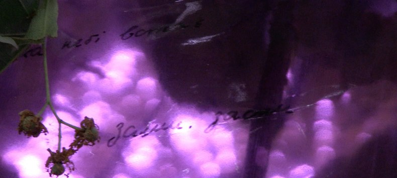 &copy; Annette Czerny