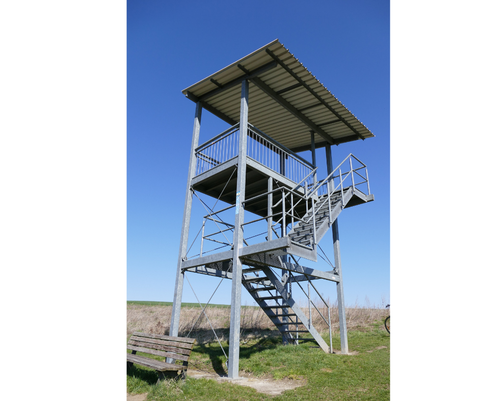 toren_diep_zee, © Waren (Müritz)-Information toren_diep_zee, © Waren (Müritz)-Information