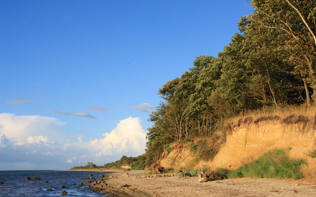 Naturalna plaża w dzielnicy Dassow / Rosenhagen, © Andreas Mummert, Dassow