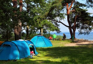 © Rene Legrand © Rene Legrand