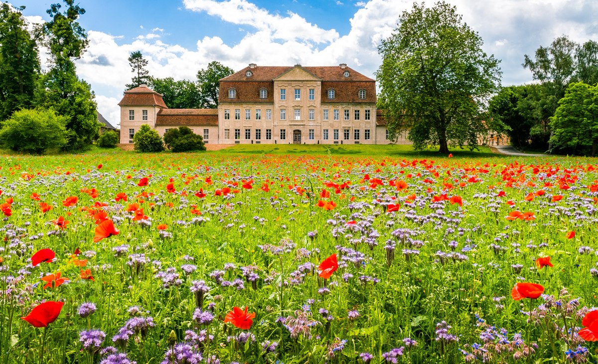 Kummerow Castle - the north facade, © Alexander Rudolph