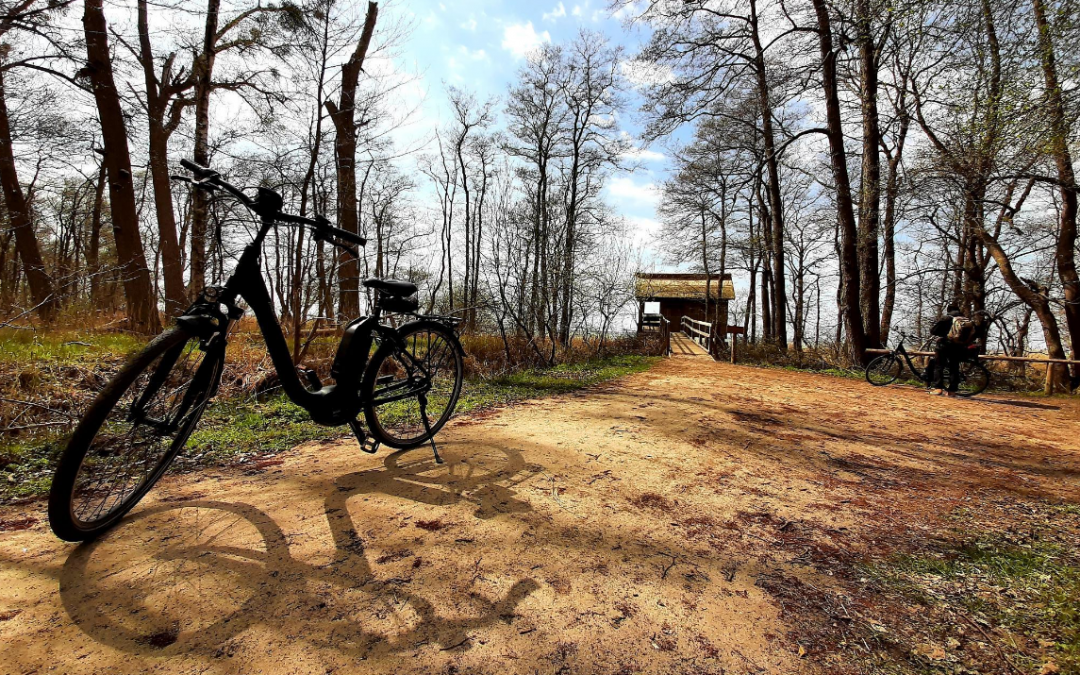 &copy; Stadt Neustrelitz