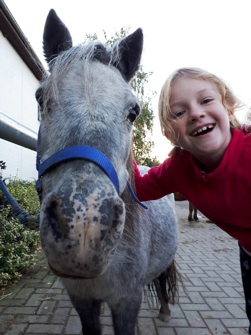 ponyspass_rosi, © bernsteinreiter