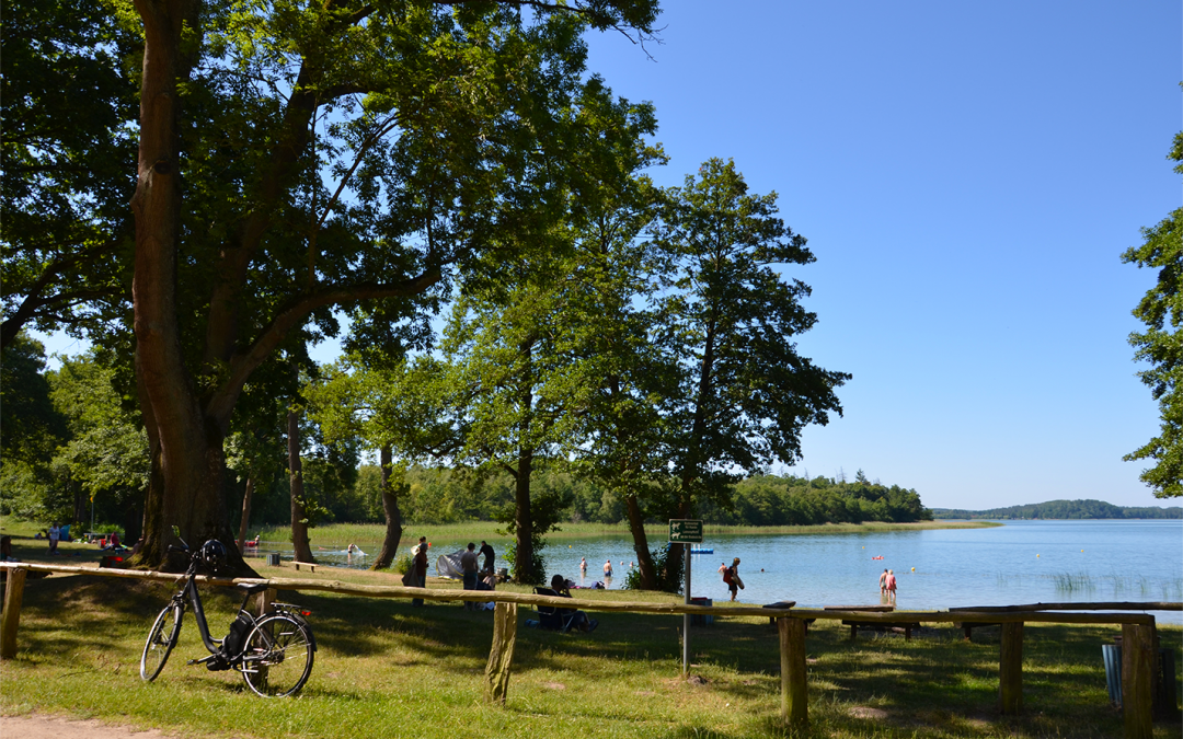 3_BROITER LUZIN - PLAŻA LICHTENBERG, © Martin Möller