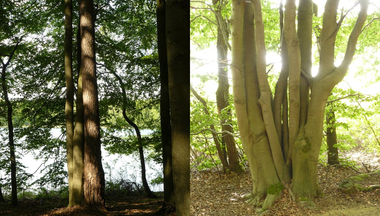 wanderung-um-den-truennsee-2, © Bianca Schubert wanderung-um-den-truennsee-2, © Bianca Schubert