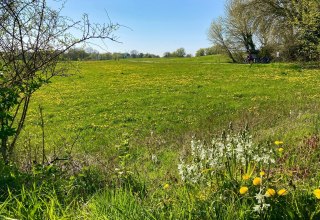 &copy; Kurverwaltung Ahrenshoop