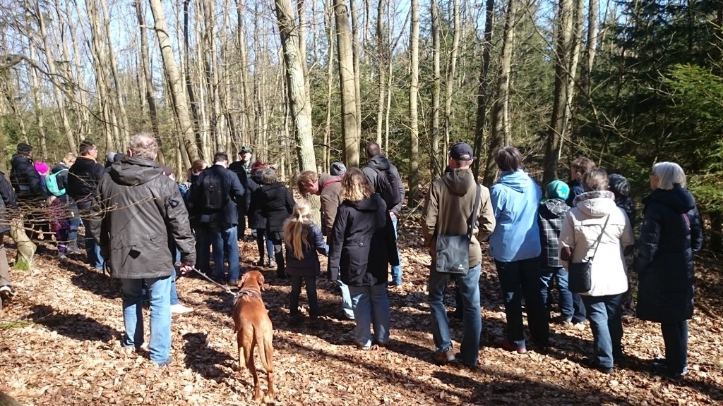 Bosbeheer en boomrijkdom op de Zirowberg