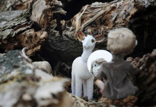 © Annett Melzer © Annett Melzer