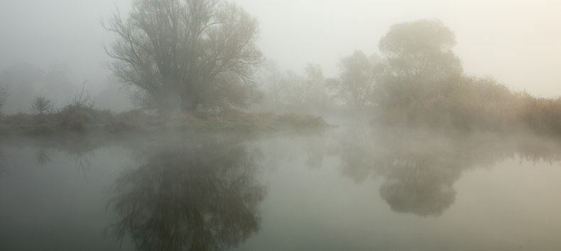 Nebelmorgen an der L&ouml;cknitz // &copy; Ulf Pipping