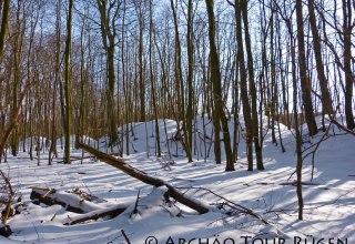 Uitzicht op de besneeuwde kasteelheuvel van de stadswallen van Sassnitz, © Archäo Tour Rügen