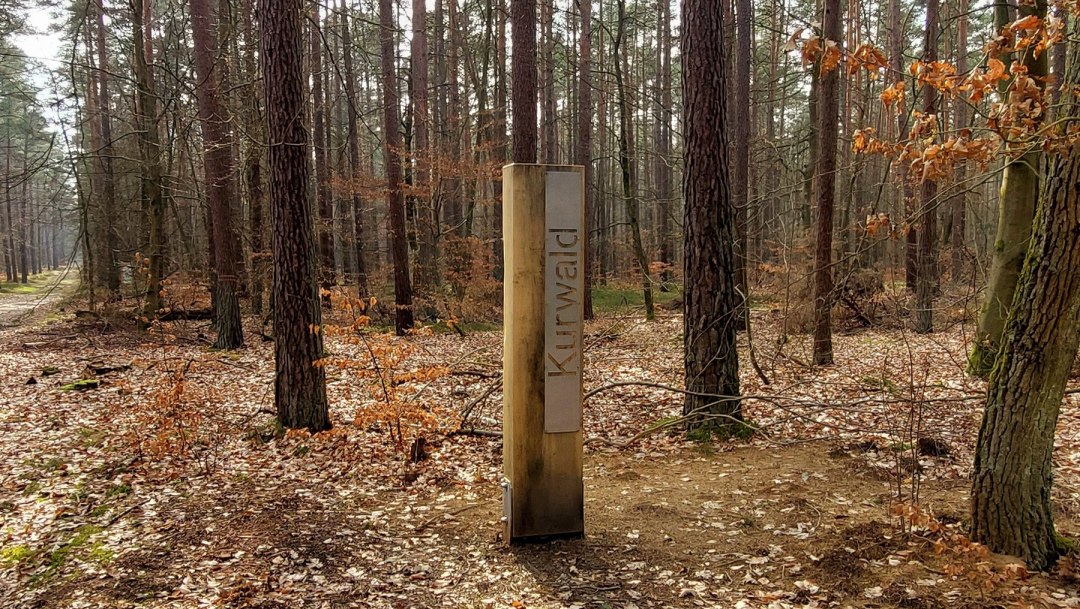 Kurwald 1 t.s., &copy; Waren (M&uuml;ritz) Kur- und Tourismus GmbH