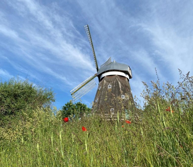 Mill_Sibylle B&ouml;hler, &copy; Sibylle B&ouml;hler