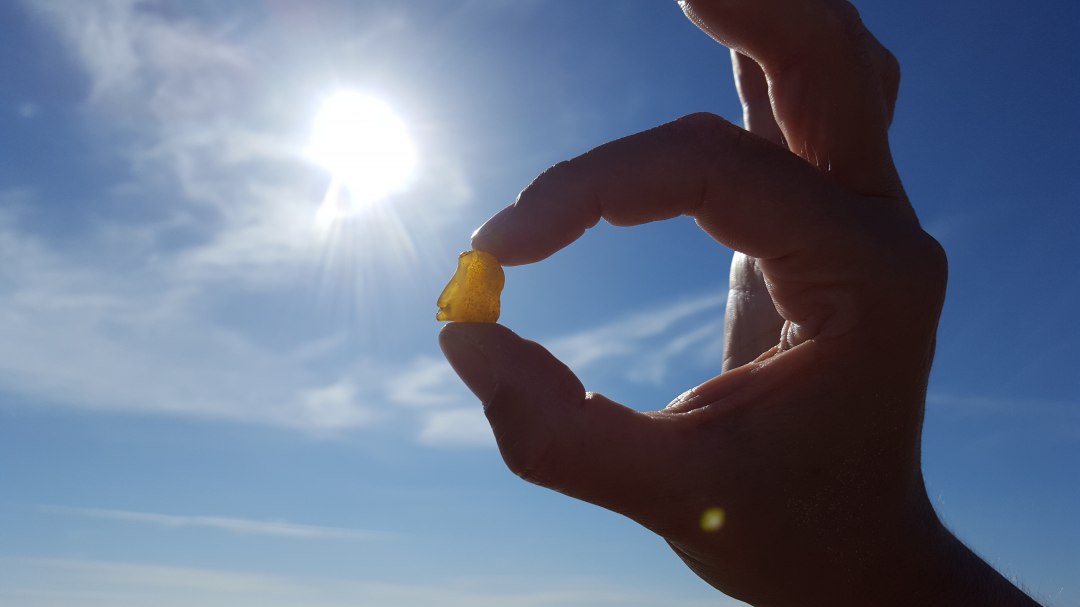 Amber wandeling, © Bernstein in der Sonne