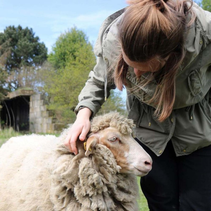 The Tafel.Runde in the country of the animals is an animal protection full day event of the special kind: exclusive vegan cook course and intensive immersion into the country of the animals. // &copy; Land der Tiere