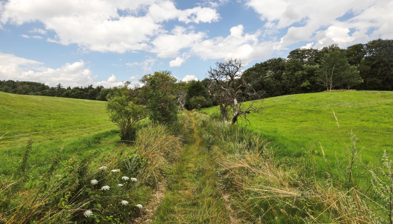 Kasteel Schlitzpark_1, © TMV/Gohlke Kasteel Schlitzpark_1, © TMV/Gohlke