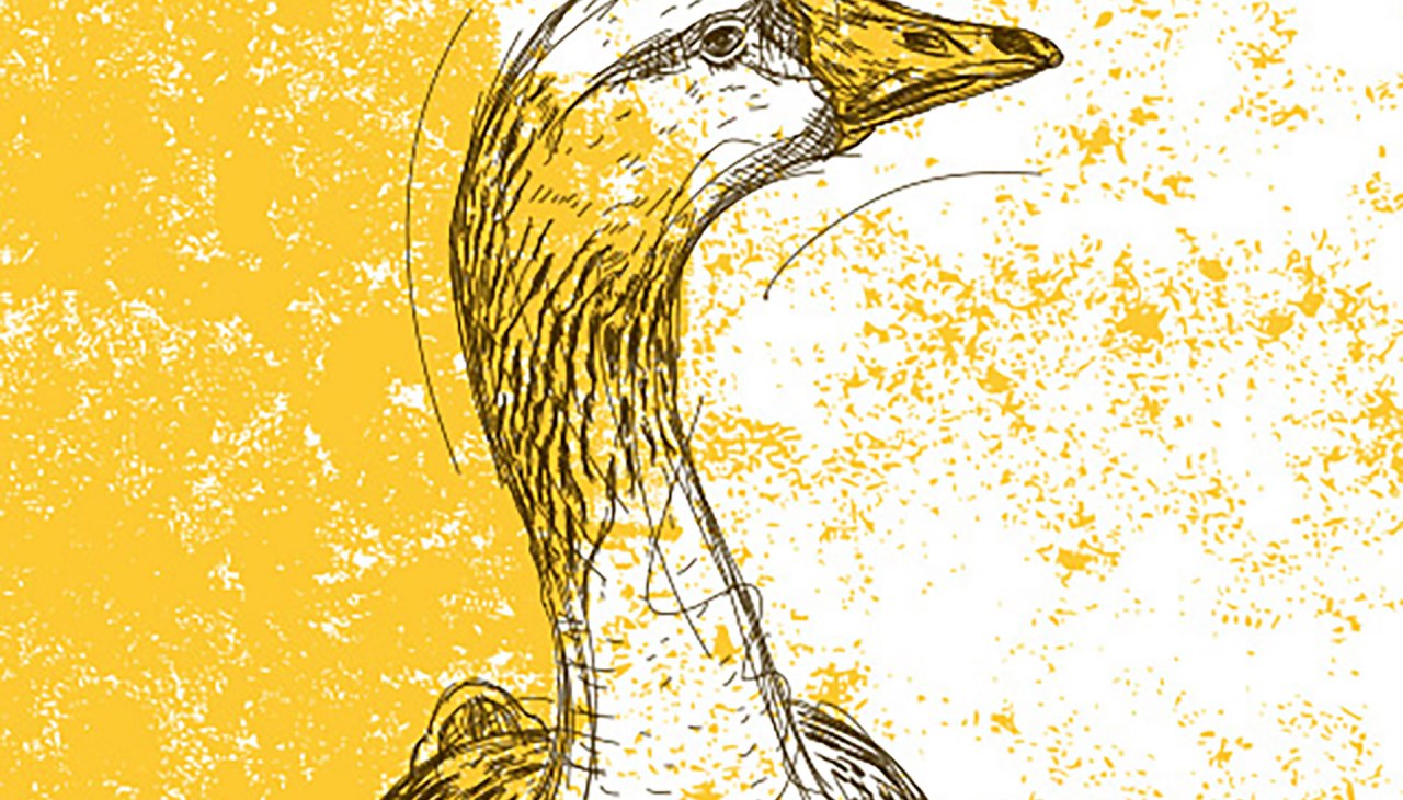 Goose dinner at Restaurant Wehrmanns Alt-Heringsdorf, © Strandhotel Ostseeblick