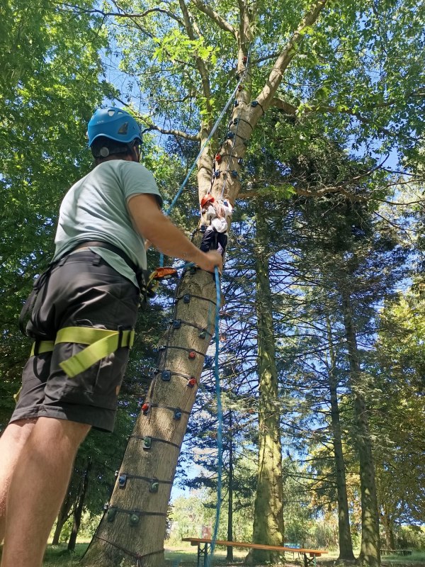 Tymczasowa ścianka wspinaczkowa na drzewie // © Falk Zipperling Tymczasowa ścianka wspinaczkowa na drzewie // © Falk Zipperling