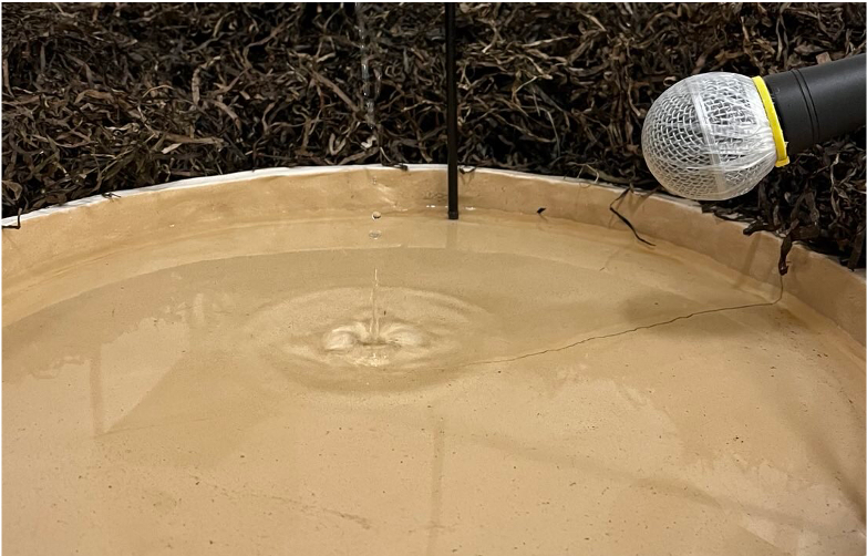 &copy; Jugendkunstschule Vorpommern-R&uuml;gen e.V.