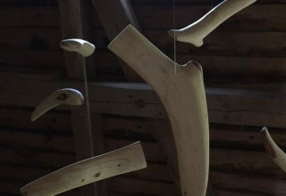 &copy; H.Mittr&uuml;cker