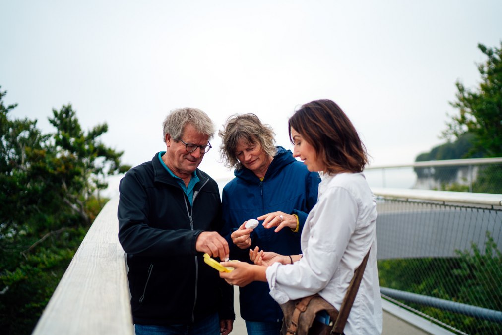 &copy;DanPetermann_K&ouml;nigsstuhl-166, &copy; Dan Petermann